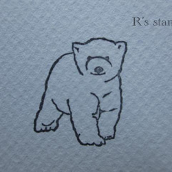 polar bear 3枚目の画像