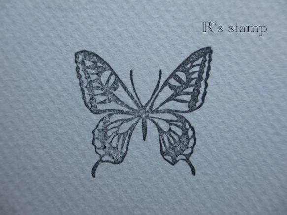swallowtail butterfly 第3張的照片