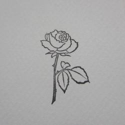 rose 3枚目の画像