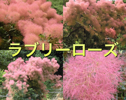 0_62c6401a44b08533460a977c7dff