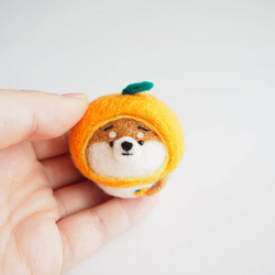 [訂做] Narikiri Mikan Mayu Shiba Inu (Red Shiba, Black Shiba, Whit 第4張的照片