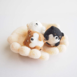 羊毛 伏せをする にこにこポメラニアン 送料無料 クリーム 羊毛