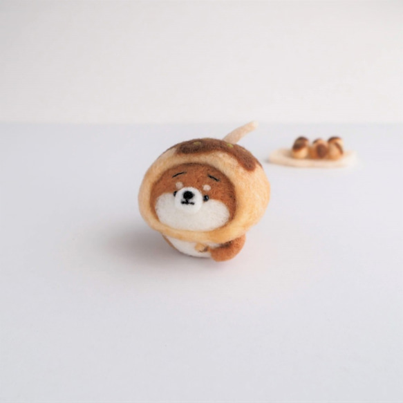 【受注製作】なりきりたこ焼きのまゆ柴犬(赤柴・黒柴・白柴)  羊毛フェルト 2枚目の画像