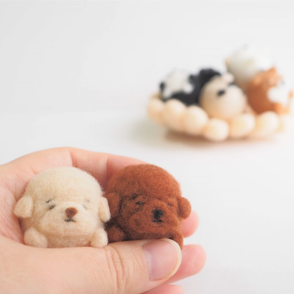 【訂做】Mayu玩具貴賓犬寶寶/小狗（紅棕、白色、奶油色、黑色等）-細眼或大眼-羊毛氈 第1張的照片