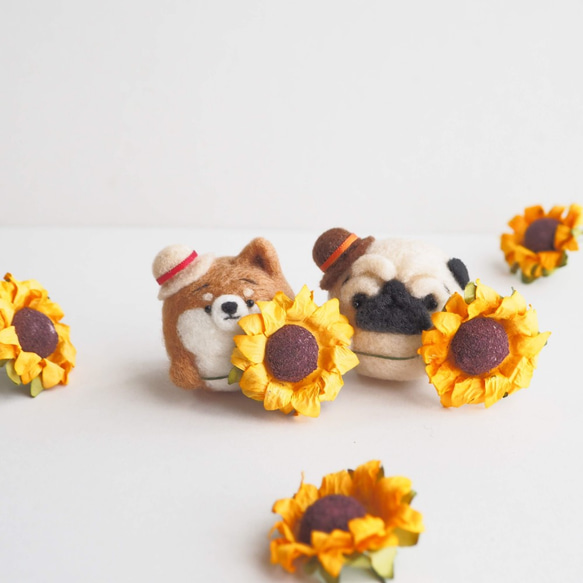 [訂製] - 僅限夏季 - 眉毛哈巴狗呈現向日葵。 （淺黃褐色/黑色）羊毛氈 第6張的照片
