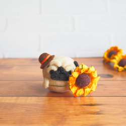 [訂製] - 僅限夏季 - 眉毛哈巴狗呈現向日葵。 （淺黃褐色/黑色）羊毛氈 第9張的照片