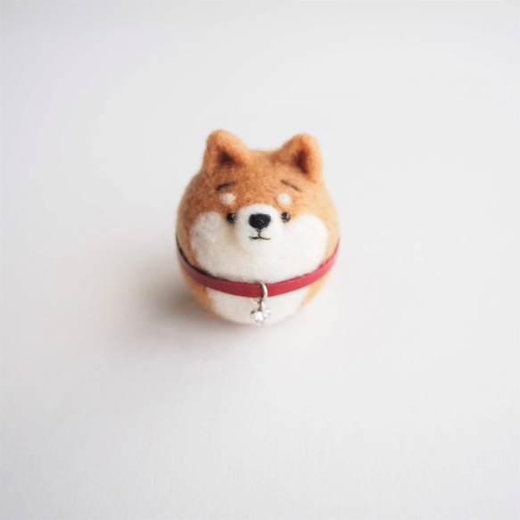 現品】ジルコニアハートのチャーム付き首輪のまゆ柴犬 羊毛フェルト 