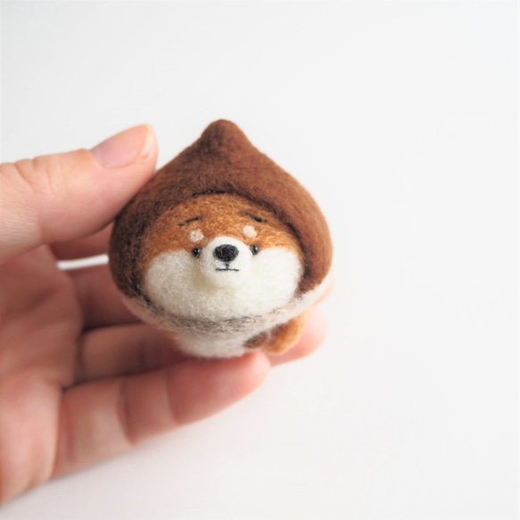 [定做] Narikiri 栗子柴犬（紅柴、黑柴、白柴）-包裹在蓬鬆的毛刺中-羊毛氈 第4張的照片