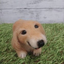 羊毛フェルト 犬 ゴールデンレトリバー フレーム 愛犬 うちの子