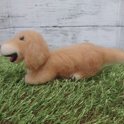 羊毛フェルト 犬 ゴールデンレトリーバー 愛犬 人形 犬 リアル 5枚目の画像