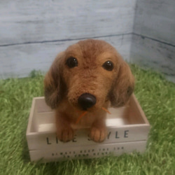 羊毛フェルト シェパード 愛犬 うちの子 ペット オーダー 犬 ワンコ 虹