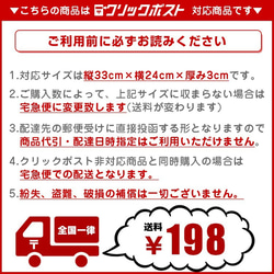 オーガンジーマスク ハワイアン 布マスク 洗える ハワイ直輸入生地 ラインストーン付 アロハマスク 5枚目の画像