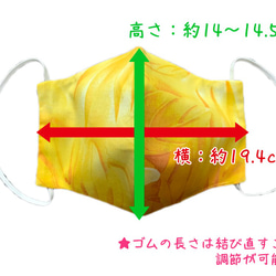 マスク ハワイアン おしゃれ こだわり リバーシブル 立体マスク 布マスク 洗える アロハマスク 夏 ハワイ直輸入生地 3枚目の画像