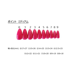 point color nail chips 5枚目の画像