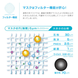 FiLTASS シルクマスク × ナノファイバー 東工大教授発明 高性能フィルター搭載 立体構造 形状記憶 分子マスク 3枚目の画像