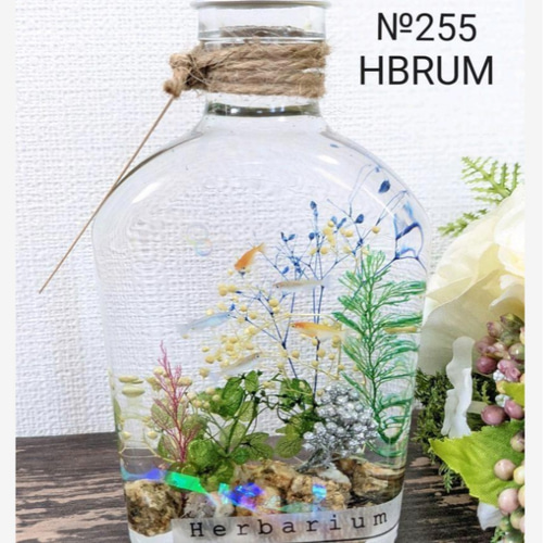 №255 癒やしのメダカﾊｰﾊﾞﾘｳﾑ その他素材 ✾HBRUM✾ 通販