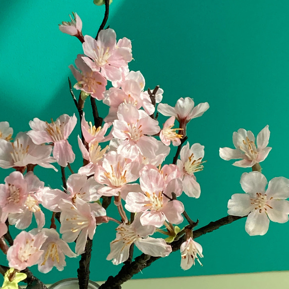 【毎年飾れる桜のインテリア】桜３本+花瓶(落ち輪入り)セット　本物のような枝ぶり　枯れない散らない桜　 4枚目の画像