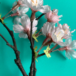 【毎年飾れる桜のインテリア】桜３本+花瓶(落ち輪入り)セット　本物のような枝ぶり　枯れない散らない桜　 5枚目の画像