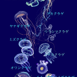 クラゲだらけ　グリッターケース　iphone jellyfish 4枚目の画像
