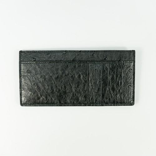 フラグメントケース✨キャッシュレス時代に最適【オーストリッチ  