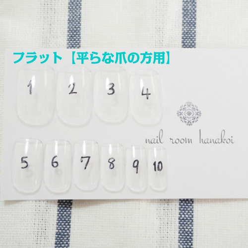 サイズ確認用ネイルチップ(レギュラー&フラット) ネイルチップ（つけ爪 