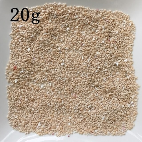 星の砂20g！大人気・大特価！沖縄県竹富町の天然星の砂・無漂白天然星