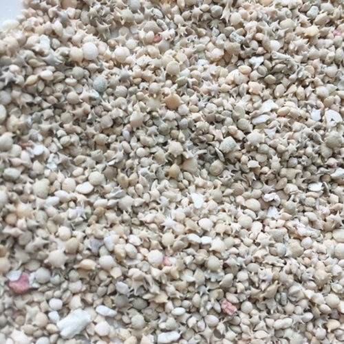 星の砂20g！大人気・大特価！沖縄県竹富町の天然星の砂・無漂白天然星