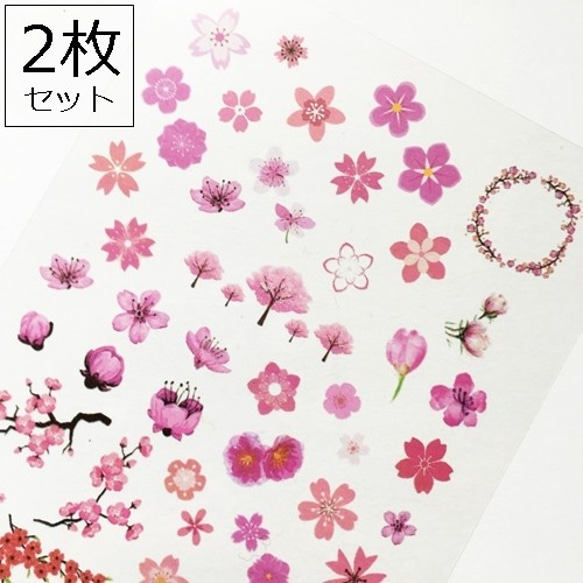 2枚セット/桜・お花のクリアイラストシート/さくら・サクラ　レジン封入や空枠制作に！／型番137（2枚） 1枚目の画像