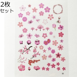 2枚セット/桜・お花のクリアイラストシート/さくら・サクラ　レジン封入や空枠制作に！／型番137（2枚） 3枚目の画像