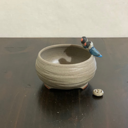 陶器　ブルーボタンインコちゃんの植木鉢 1枚目の画像
