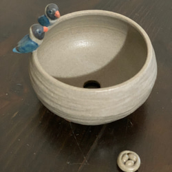 陶器　ブルーボタンインコちゃんの植木鉢 3枚目の画像