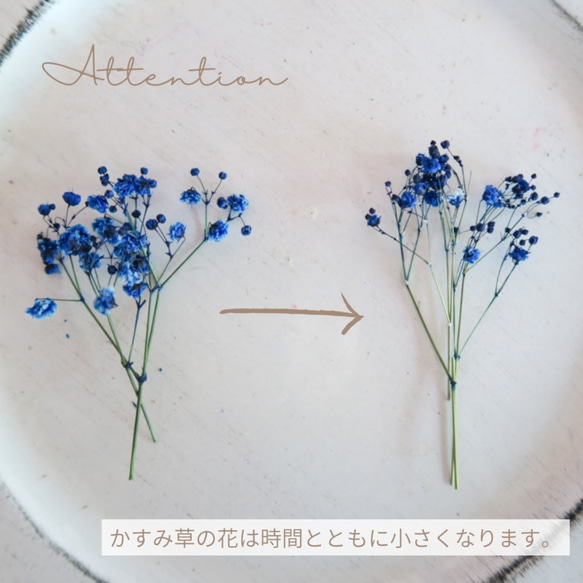 【特集掲載】blue mix baby's breath bouquet （ブルーかすみそう花束）母の日インテリアギフト 6枚目の画像