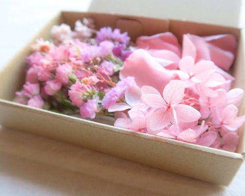 ストリングティング string ting お花 桜 さくら