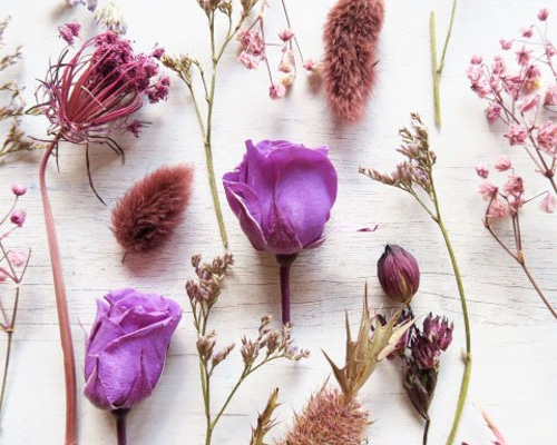 0_87336550d7ca695ed285016304d0