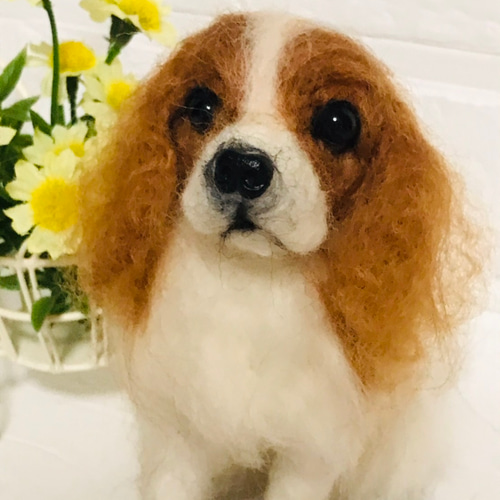 羊毛フェルト キャバリア 羊毛フェルト アシレイ 通販 11528445