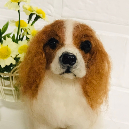 羊毛フェルト キャバリア 羊毛フェルト アシレイ 通販 11528445