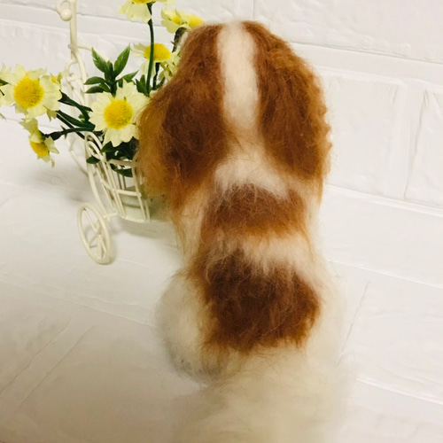 羊毛フェルト キャバリア 羊毛フェルト アシレイ 通販 11528445