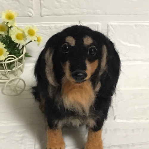 羊毛フェルト ミニチュアダックスフンド ブラックタン 羊毛フェルト