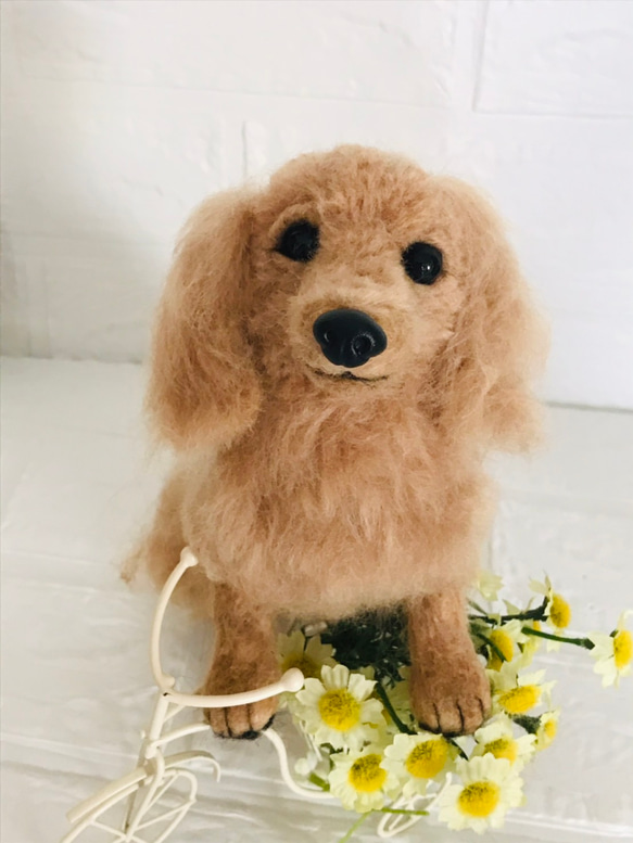 羊毛フェルト ミニチュアダックスフンド クリーム 羊毛フェルト