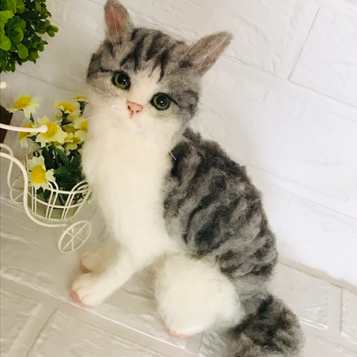 羊毛フェルト 猫 サバ白 羊毛フェルト アシレイ 通販 12028696 羊毛フェルト 猫 サバ白 羊毛フェルト アシレイ 通販 12028696