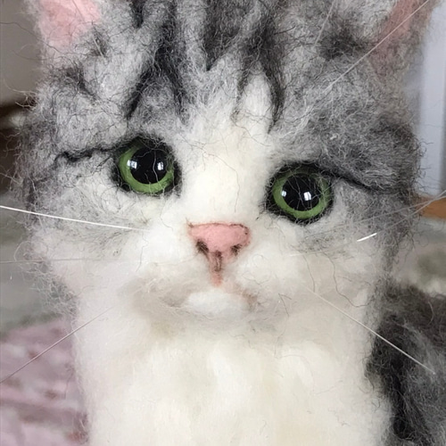 羊毛フェルト 猫 サバ白 羊毛フェルト アシレイ 通販 12028696