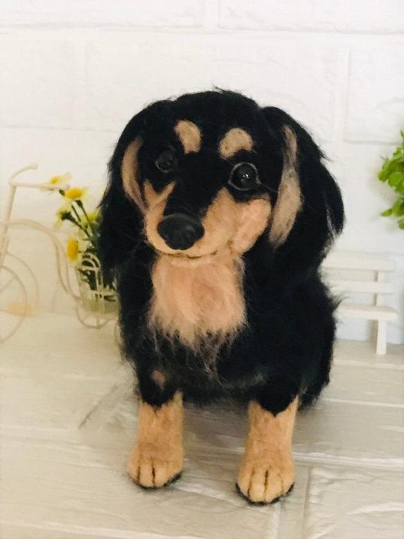 羊毛フェルト ミニチュアダックスフンド ブラックタン 羊毛フェルト