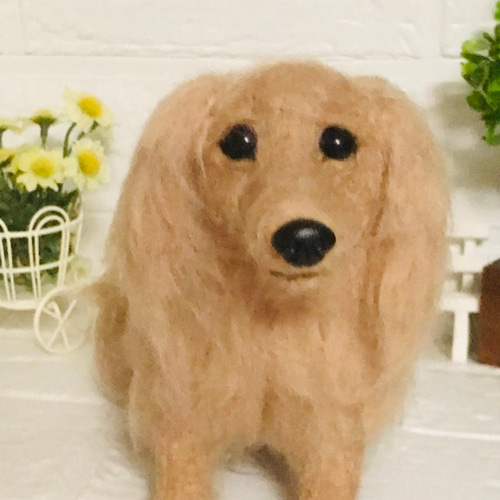 羊毛フェルト ミニチュアダックスフンド クリーム 羊毛フェルト