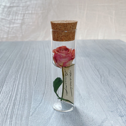 『Creema春の福袋2021』キュンとする小さなお花　フラワーボトル♡３個セット　メッセージカード入り　ミモザ　バラ 4枚目の画像
