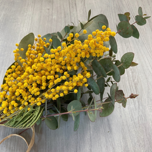 ミモザとユーカリ3種のナチュラルスワッグ ミランドール ミモザの日