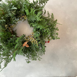 森のクリスマスリース♡グリーンのナチュラルリース　40cm クリスマスギフト　ヒムロスギ 1枚目の画像