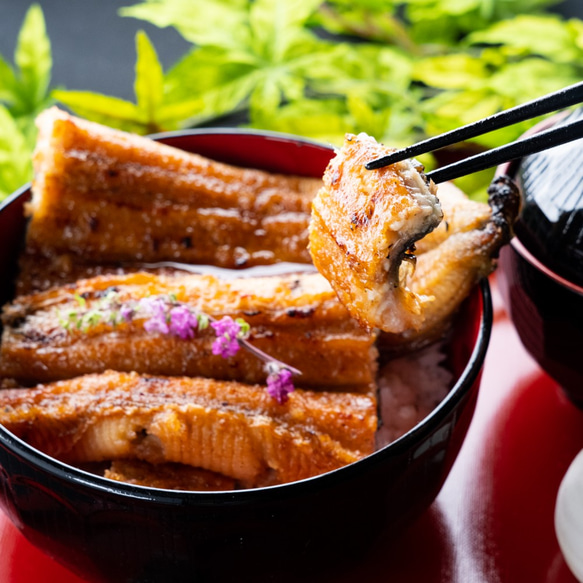 うなぎ 国産 三河一色産 炭火手焼き 蒲焼 156g～185g×3尾 タレ