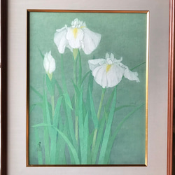 花　絵　植物画　癒し　優しい　インテリア　額入り　日本画　『 菖蒲 』 1枚目の画像