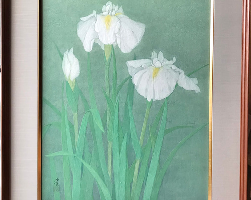 花 絵 植物画 癒し 優しい インテリア 額入り 日本画 『 菖蒲 』 絵画 