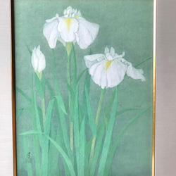 花　絵　植物画　癒し　優しい　インテリア　額入り　日本画　『 菖蒲 』 2枚目の画像